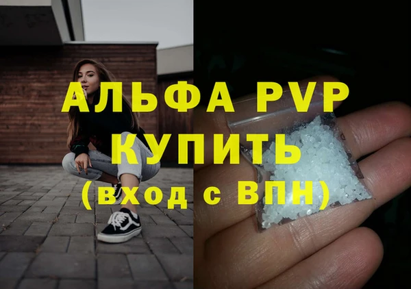 спиды Медвежьегорск
