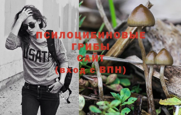 MESCALINE Медногорск