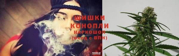 спиды Медвежьегорск