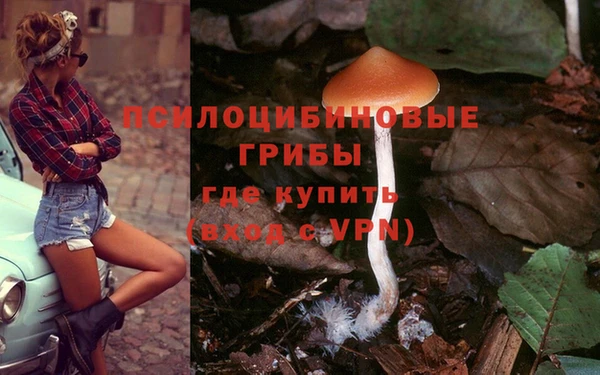 прущая мука Мегион