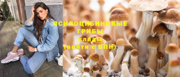 спиды Медвежьегорск