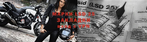 спиды Медвежьегорск